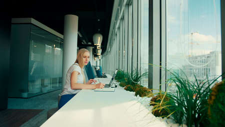 Side view of woman sitting at table alongside window in modern office and using laptop in daylight.の写真素材