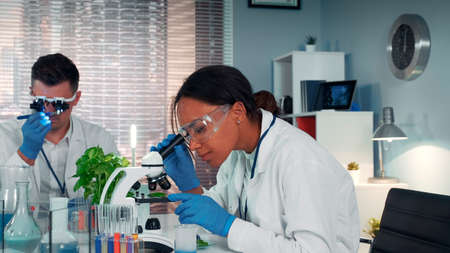 In modern research laboratory black female scientist looking at organic material under microscope while her collegue working in magnifying eyeglasses.の写真素材