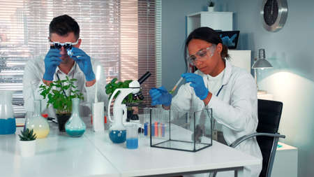 Black research scientist dropping chemical liquid on plant leaf and then giving it to the hamster. She is surprised with the course of the experiment in chemistry lab.の写真素材