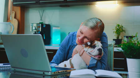 Smiling woman stroking and hugging the bulldog while sitting at the computer. Spending day-off in the kitchen at home.の写真素材