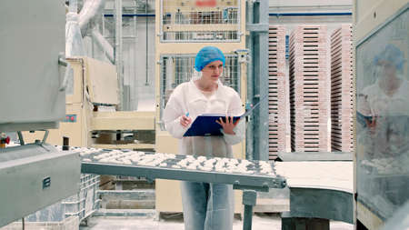 Controller checking conveyor with candies. Candy factory. Young woman in uniform holding folder and inspecting conveyor belt with fresh candies in confectionery factory.の写真素材