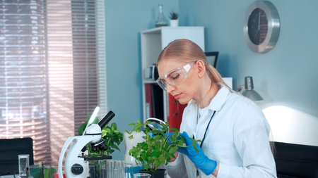 Female research scientist looking on plant under magnifying glass. She is in safety glasses working in bright lab.の写真素材