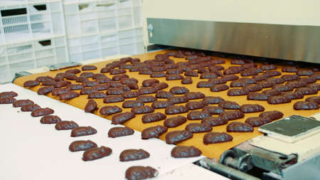Candy factory. Chocolate candies lying on conveyor. Bunch of yummy chocolate sweets lying on conveyor belt on confectionery factory.の写真素材