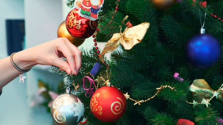 Close up hand of woman hanging toys on Christmas tree. The fir tree is decorates with colorful balls.の写真素材