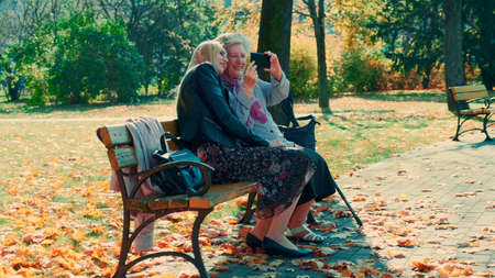 Zoom shot of young woman and her grandmother watching something on smartphone in park. There is a beautiful sunny autumn day.の写真素材