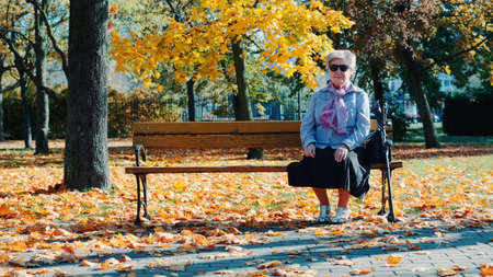 Grandmother sitting on bench in a beautiful autumn park.She probably waiting for somebodyの写真素材
