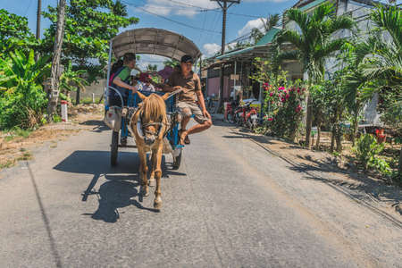 Rural Horse cart with tourist in a Vietnamese countryside. Vietnam, Mekong Delta, 20 March 2020.のeditorial素材
