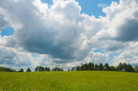 Holiday view on a large meadow and o huge rainy cloud の写真素材