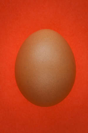 An egg on orange backgroundの写真素材