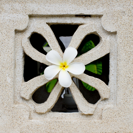 marble decorated background tilesの写真素材