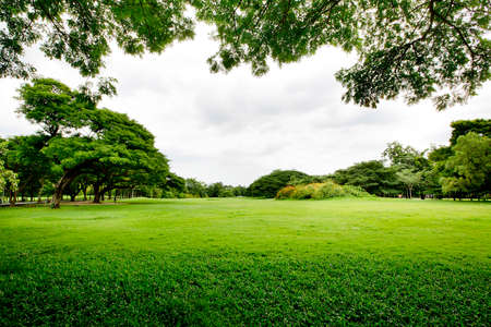 spring landscape backgroundの写真素材