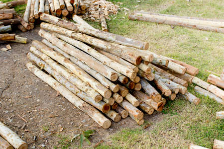 background of piled tree trunksの写真素材