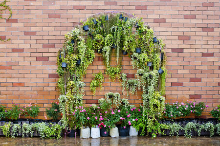 Fesh spring green leaves plant over brick wall backgroundの写真素材