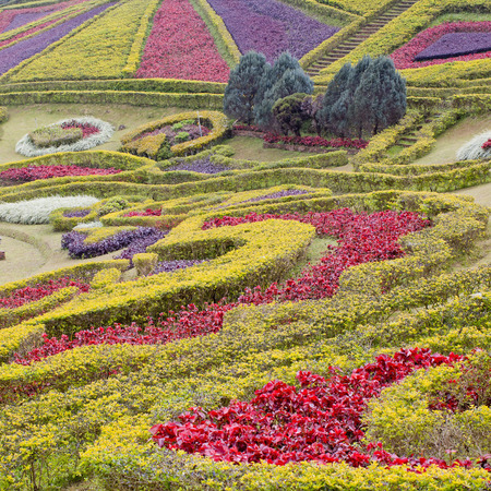 Garden landscapeの写真素材