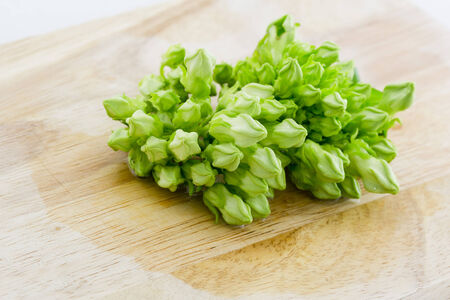 Cowslip Creeper  Telosma minor Craib  の写真素材