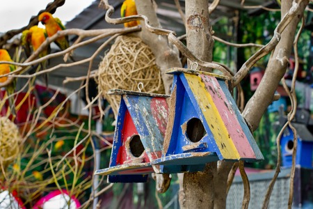 colorful bird house の写真素材