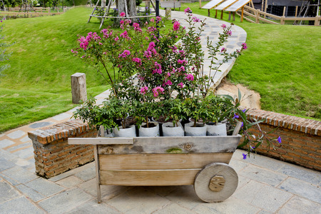 Wheelbarrow full of colorful flowersの写真素材