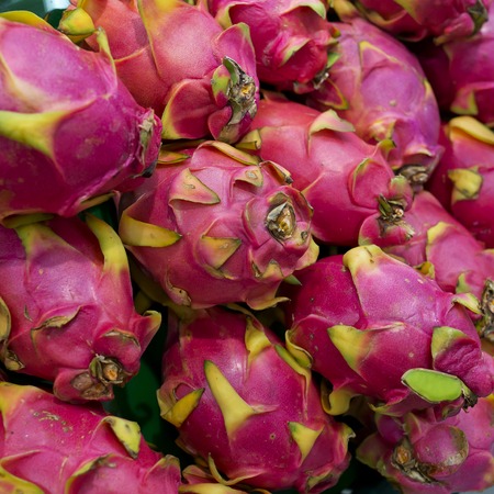 Dragon fruit on market standの写真素材