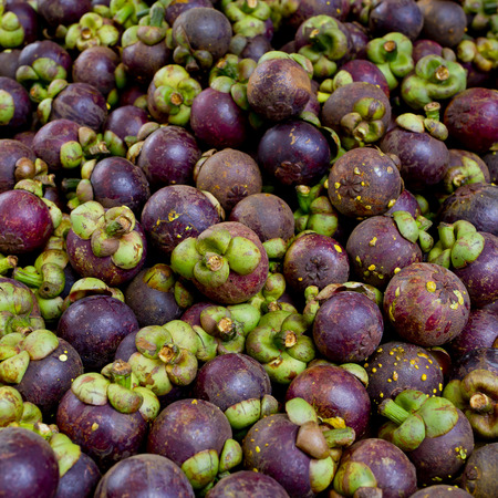 Mangosteen is a popular fruit in Thailand background textureの写真素材