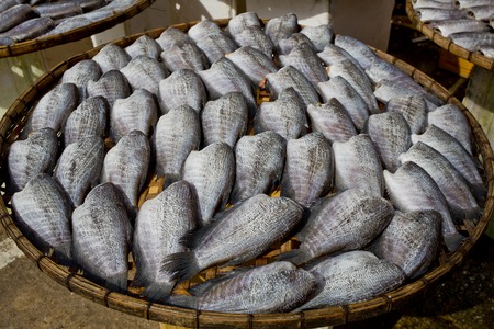 Many dry Gourami fishs on bamboo plates