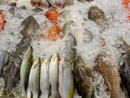 fresh fish on ice at the market in Thailand