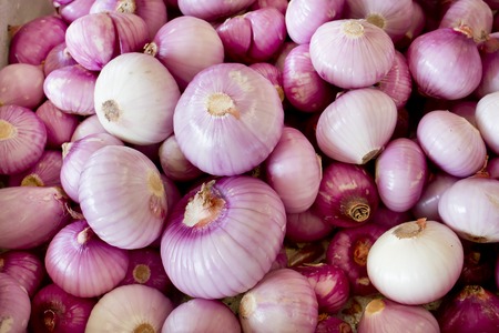 Closeup Shallot background textureの写真素材