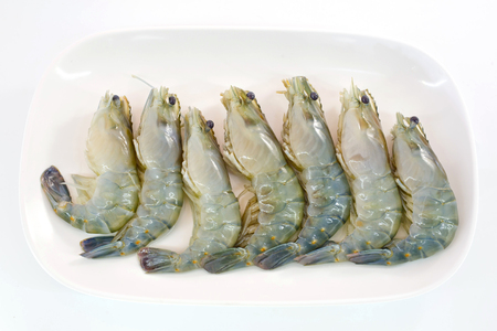 Fresh Gulf Shrimps ready to be grilledの写真素材