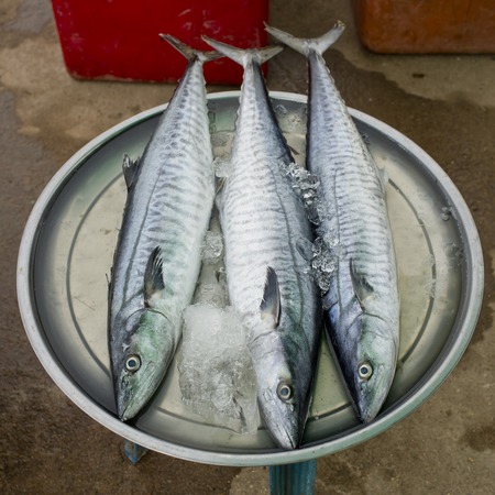 Fresh fishes at the fish marketの写真素材