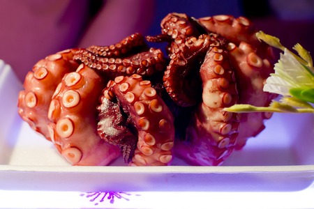 Freshly cooked purple octopusの写真素材