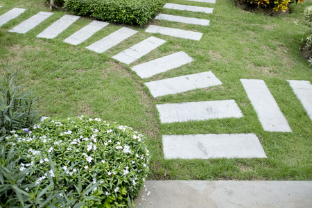 Stone Path in gardenの写真素材