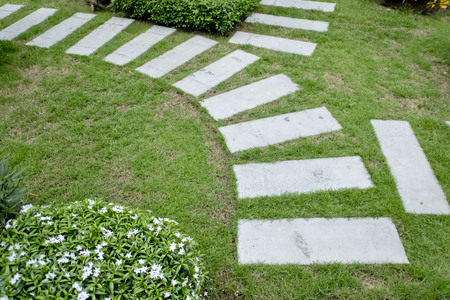 Stone Path in gardenの写真素材