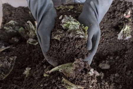 Handful of arable soil in hands of responsible farmerの写真素材