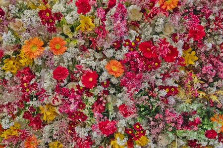 Fresh Colorful flower background textureの写真素材