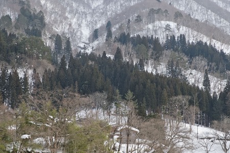 beautiful winter landscape on a sunny dayの写真素材