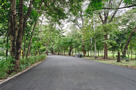 Pathways with green trees, Landscaping in the garden