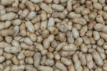 Raw Peanuts background textureの写真素材