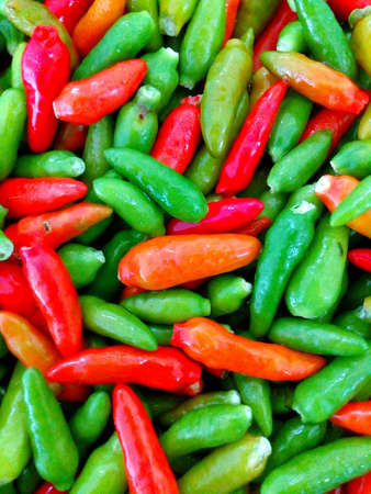 Hot chilli full colors backgroundの素材