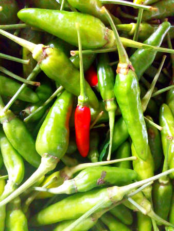 Hot chilli backgroundの素材