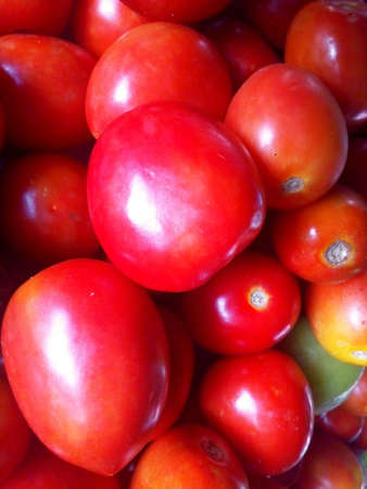 Closeup red tomato backgroundの素材