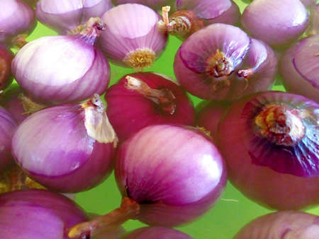 Red onion in waterの素材