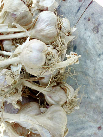 Garlic on old wood boardの素材
