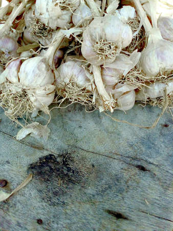 Garlic on old wood boardの素材