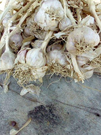 Garlic on old wood boardの素材