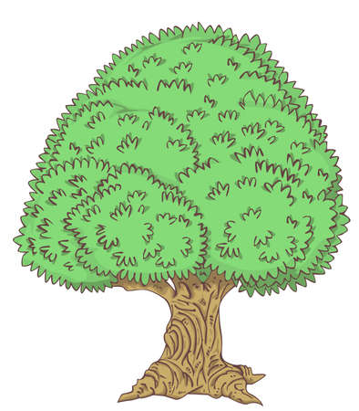 Tree vector and illustrationのイラスト素材