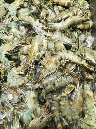 Fresh shrimps or fresh tiger prawns on sale in bazaar. Close up black tiger prawns sea foodの写真素材