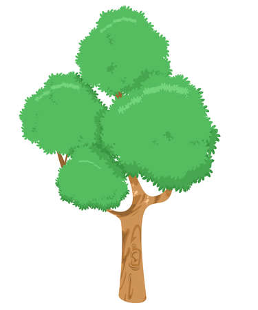 big tree with green leaves and white background. vector and illustrationのイラスト素材