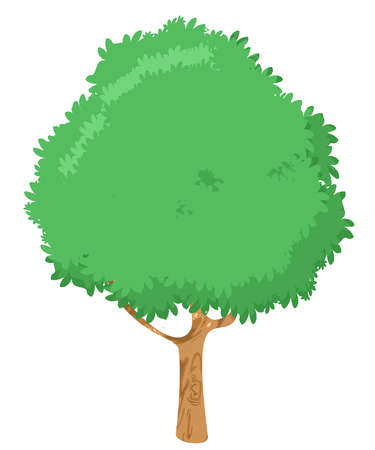 big tree with green leaves and white background. vector and illustrationのイラスト素材