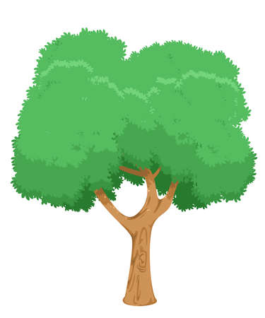 big tree with green leaves and white background. vector and illustrationのイラスト素材