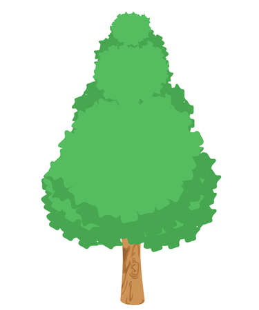 big tree with green leaves and white background. vector and illustrationのイラスト素材