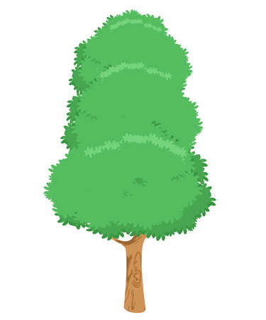 big tree with green leaves and white background. vector and illustrationのイラスト素材